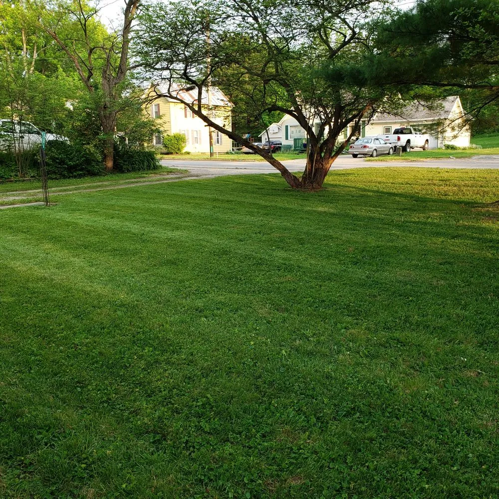 Affordable yard cleanup service with custom design in Pickerington, OH by Layne Lawn Services