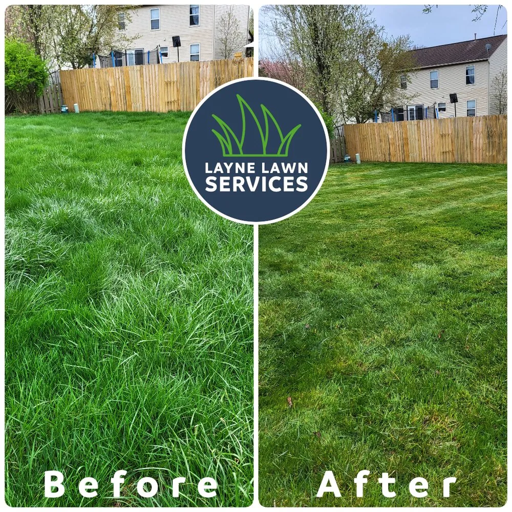 Professional residential landscaping for residential properties across Pickerington, OH - Layne Lawn Services