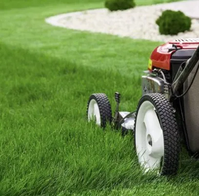 Layton’s Landscaping Logo