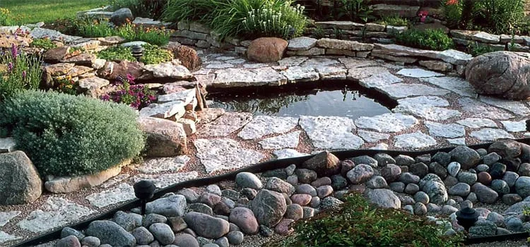 Affordable lawn care service in Jacksonville, NC by Layton's Lawn Service