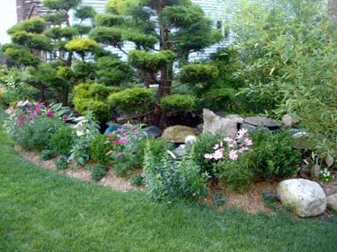 Trusted landscaping services in Jacksonville, NC by Layton's Lawn Service