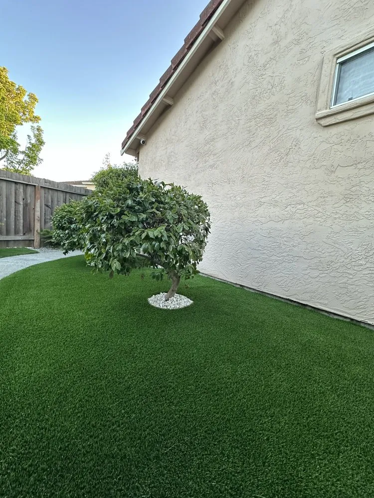 Top-rated landscape design in Lafayette, CA by Layturf Landscaping