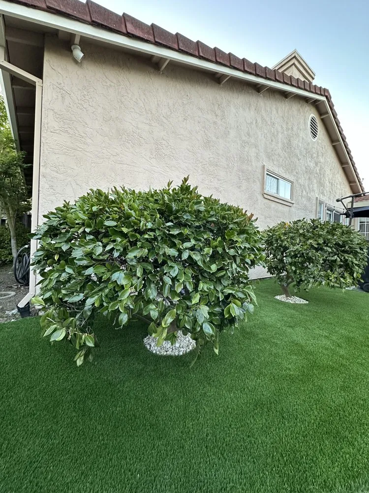 Expert landscape installation in Lafayette, CA - Layturf Landscaping