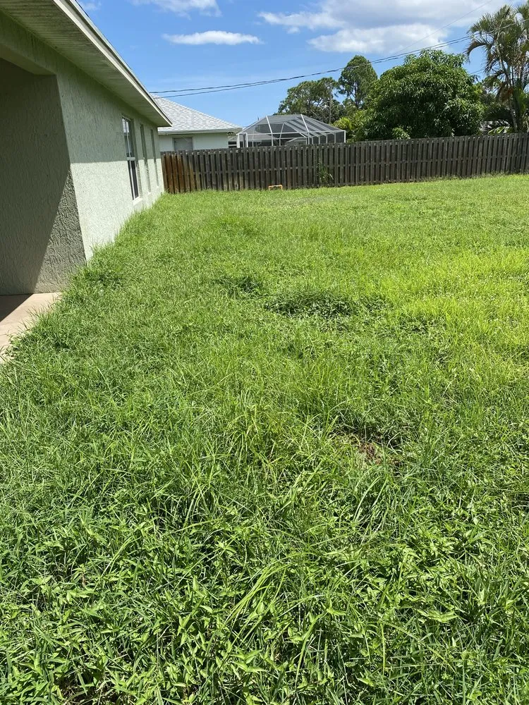Affordable lawn mowing service for year-round maintenance across Port Saint Lucie, FL - Laz & Jr Lawn Maintenance