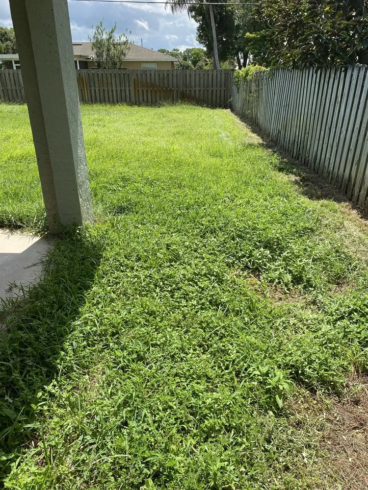 Custom residential landscaping for year-round maintenance across Port Saint Lucie, FL - Laz & Jr Lawn Maintenance