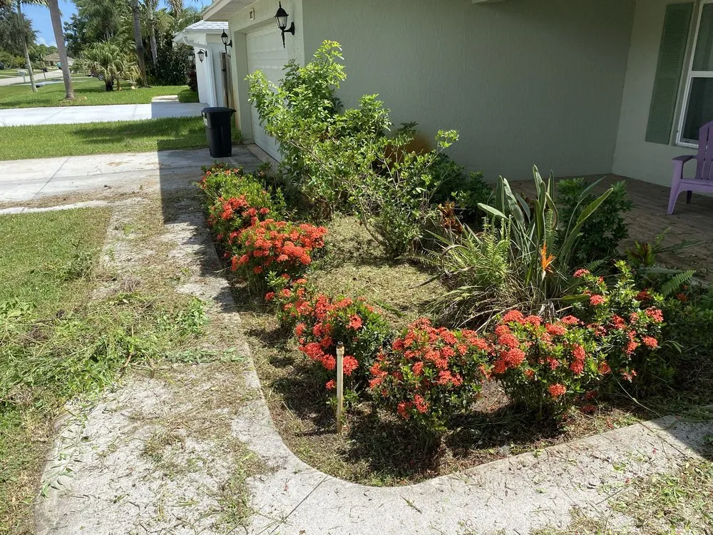 Reliable yard maintenance in Port Saint Lucie, FL by Laz & Jr Lawn Maintenance