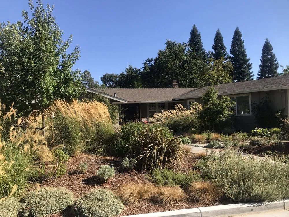 Custom landscape installation experts serving Oakland, CA - Lazar Landscape Design And Construction