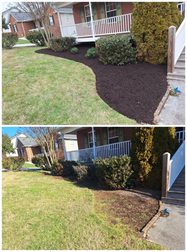Trusted yard cleanup service for outdoor upgrades in San Diego, CA by Lazaro's Landscapes