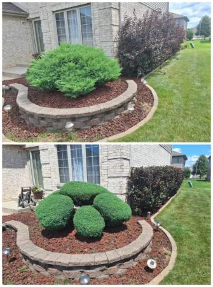 Reliable lawn mowing service in San Diego, CA by Lazaro's Landscapes