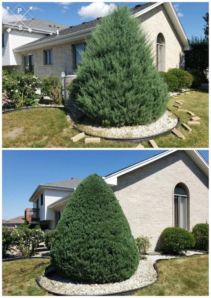 Top-rated residential landscaping with custom design across San Diego, CA - Lazaro's Landscapes