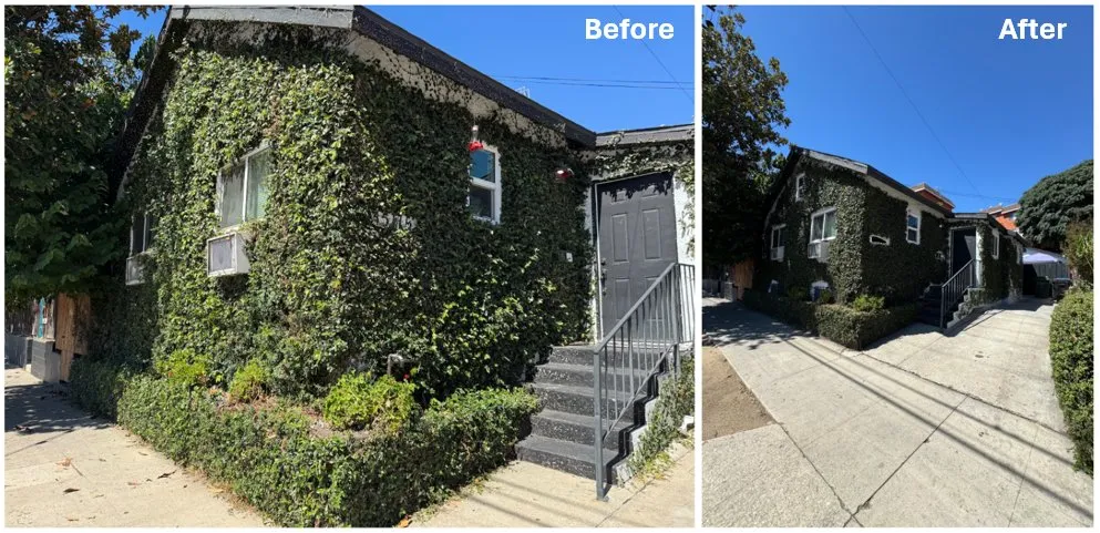 Local landscape design experts serving Pasadena, CA - Lazaro’s Landscaping