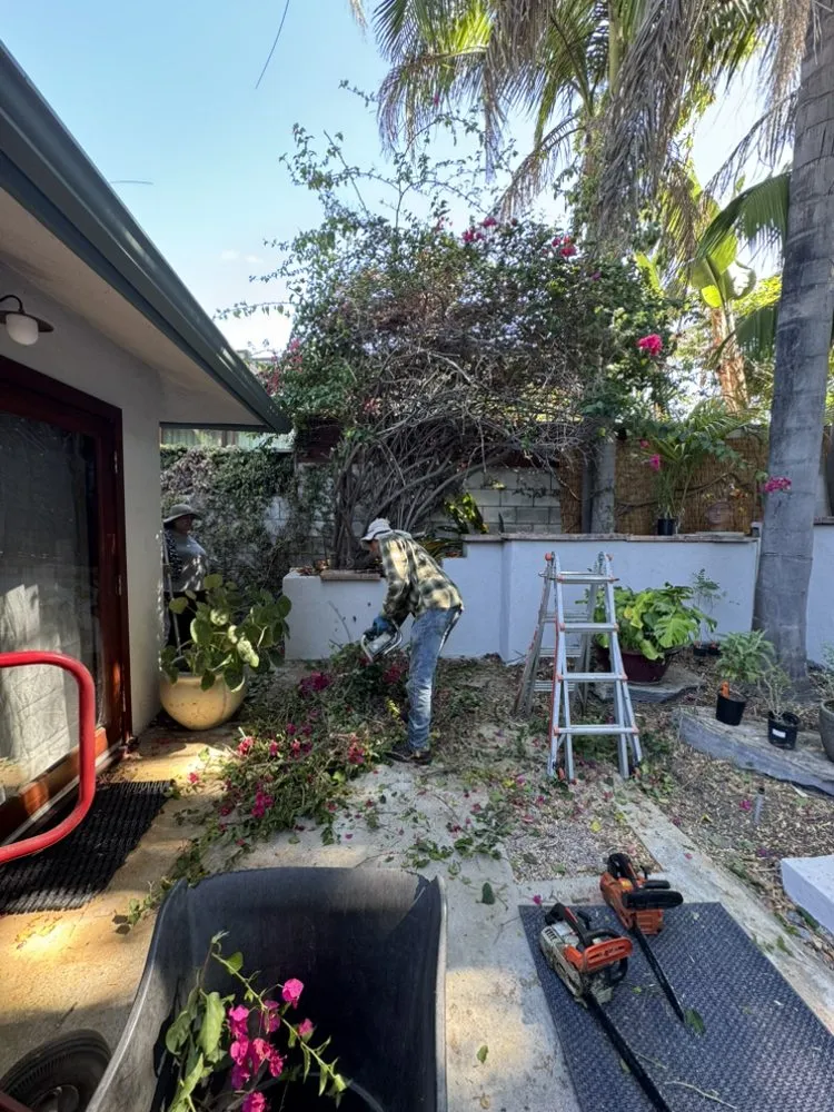 Expert landscape design for homes in Pasadena, CA by Lazaro’s Landscaping