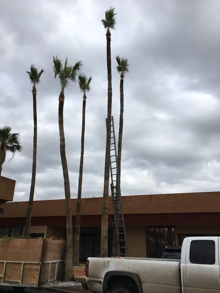 Expert landscape installation near you across Tucson, AZ - Lazaro's Landscaping