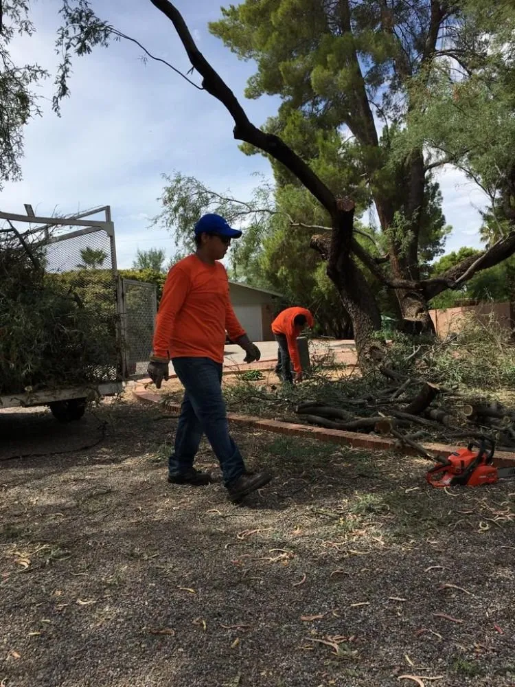 Expert yard cleanup service with custom design in Tucson, AZ by Lazaro's Landscaping