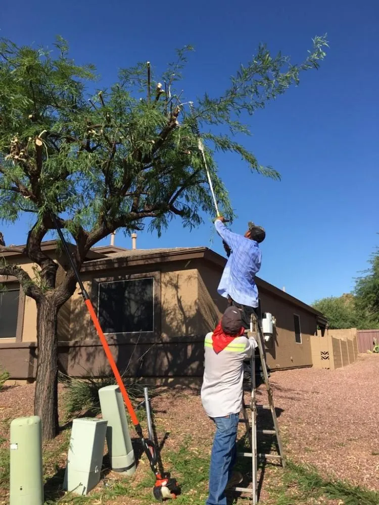 Professional garden landscaping in Tucson, AZ - Lazaro's Landscaping