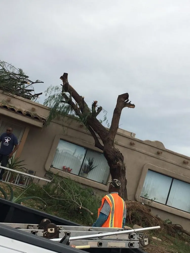 Expert outdoor landscaping for beautiful yards across Tucson, AZ - Lazaro's Landscaping