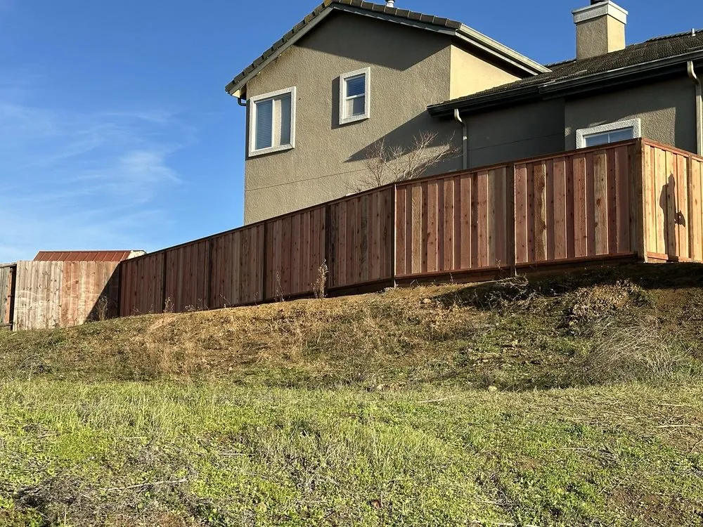 Professional yard maintenance for year-round maintenance in Vallejo, CA by Lazaro's Lic Landscaping