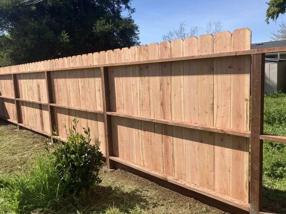 Top-rated yard cleanup service in Vallejo, CA by Lazaro's Lic Landscaping