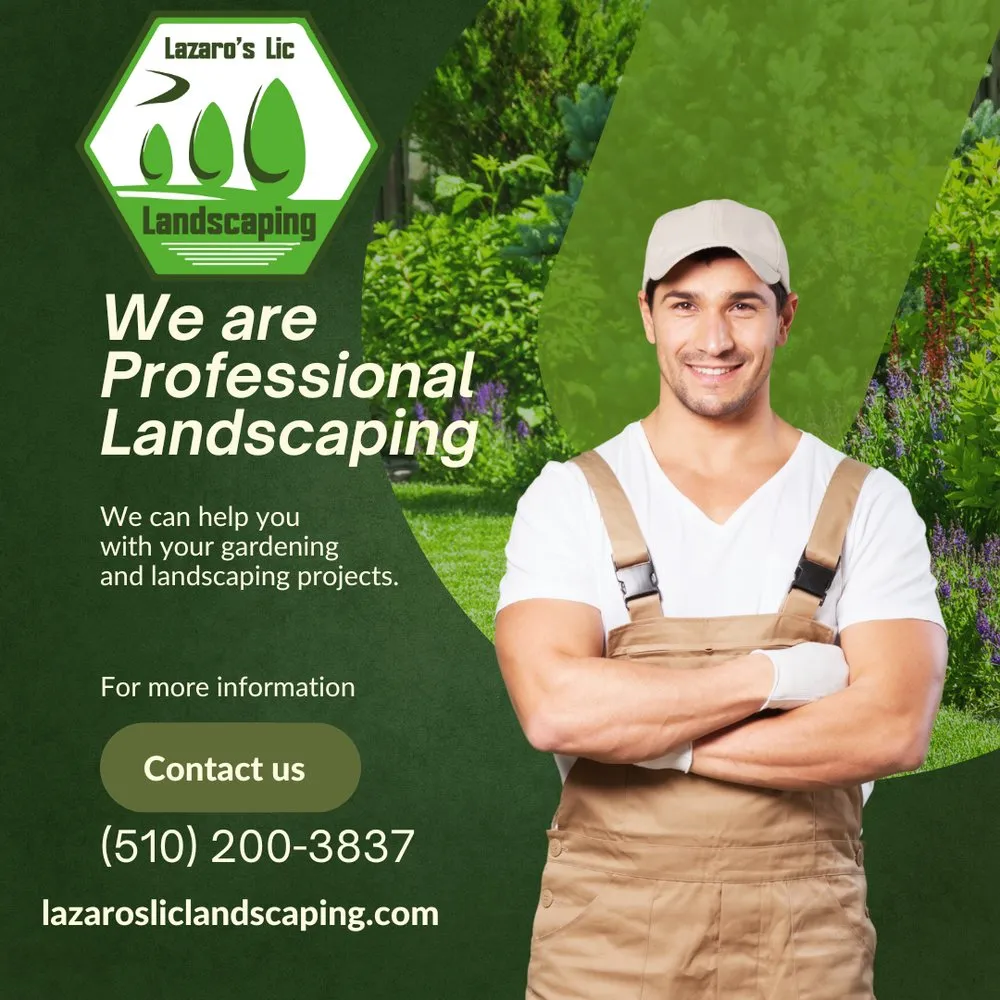 Affordable yard maintenance in Vallejo, CA by Lazaro's Lic Landscaping