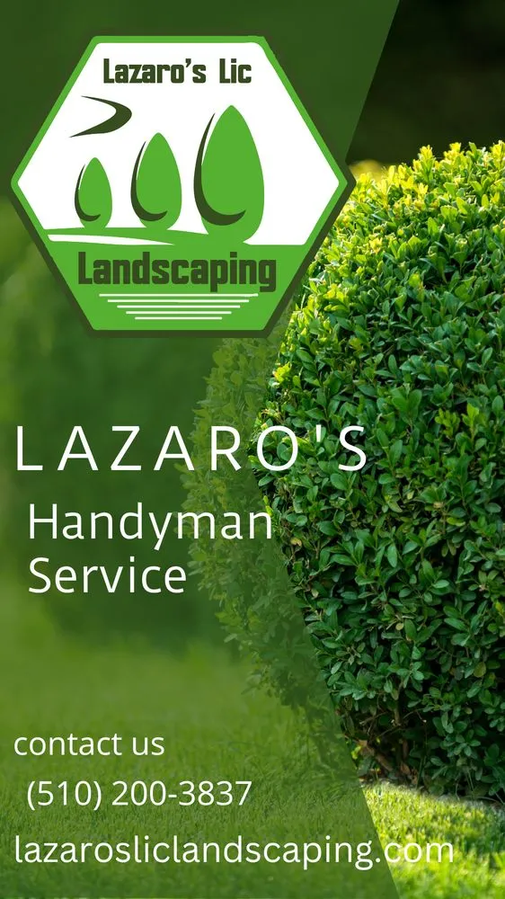 Top-rated landscape installation for outdoor upgrades in Vallejo, CA by Lazaro's Lic Landscaping
