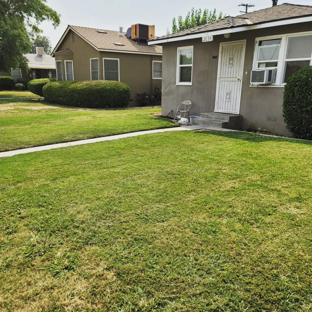 Top-rated landscape design experts serving Fresno, CA - Lazcano Property Maintenance