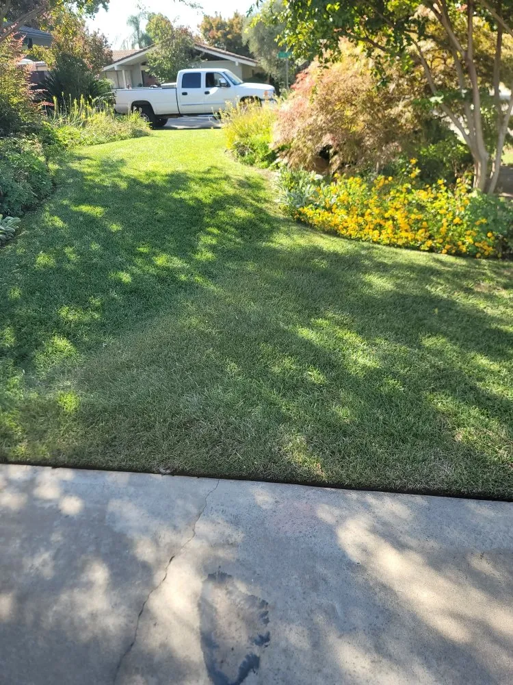 Expert lawn mowing service experts serving Fresno, CA - Lazcano Property Maintenance