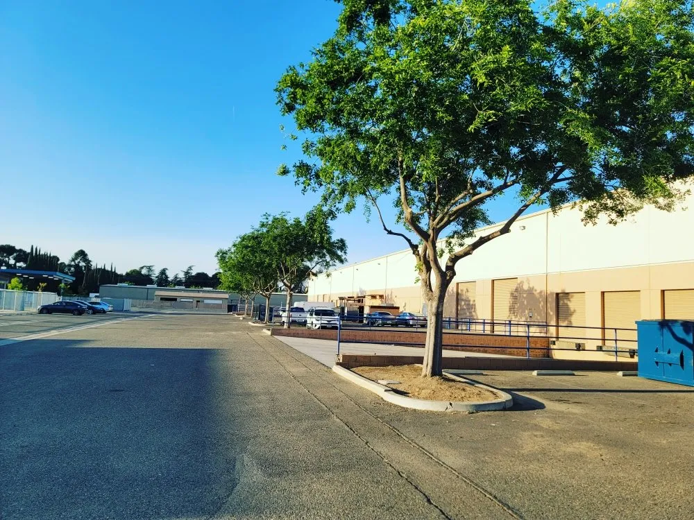 Expert lawn mowing service experts serving Fresno, CA - Lazcano Property Maintenance