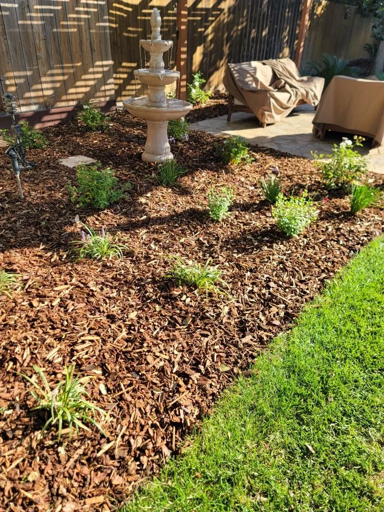 Affordable yard maintenance experts serving Fresno, CA - Lazcano Property Maintenance