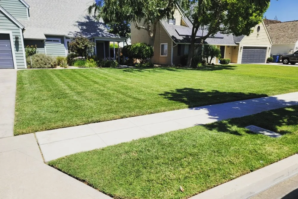 Custom landscaping services in Fresno, CA - Lazcano Property Maintenance