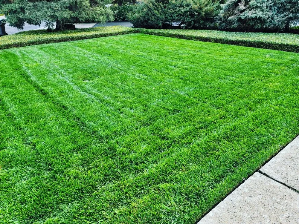 Top-rated residential landscaping for residential properties across Fresno, CA - Lazcano Property Maintenance