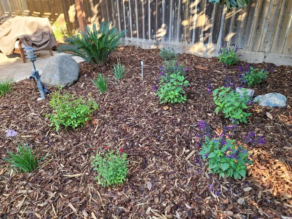 Trusted yard maintenance near you in Fresno, CA by Lazcano Property Maintenance