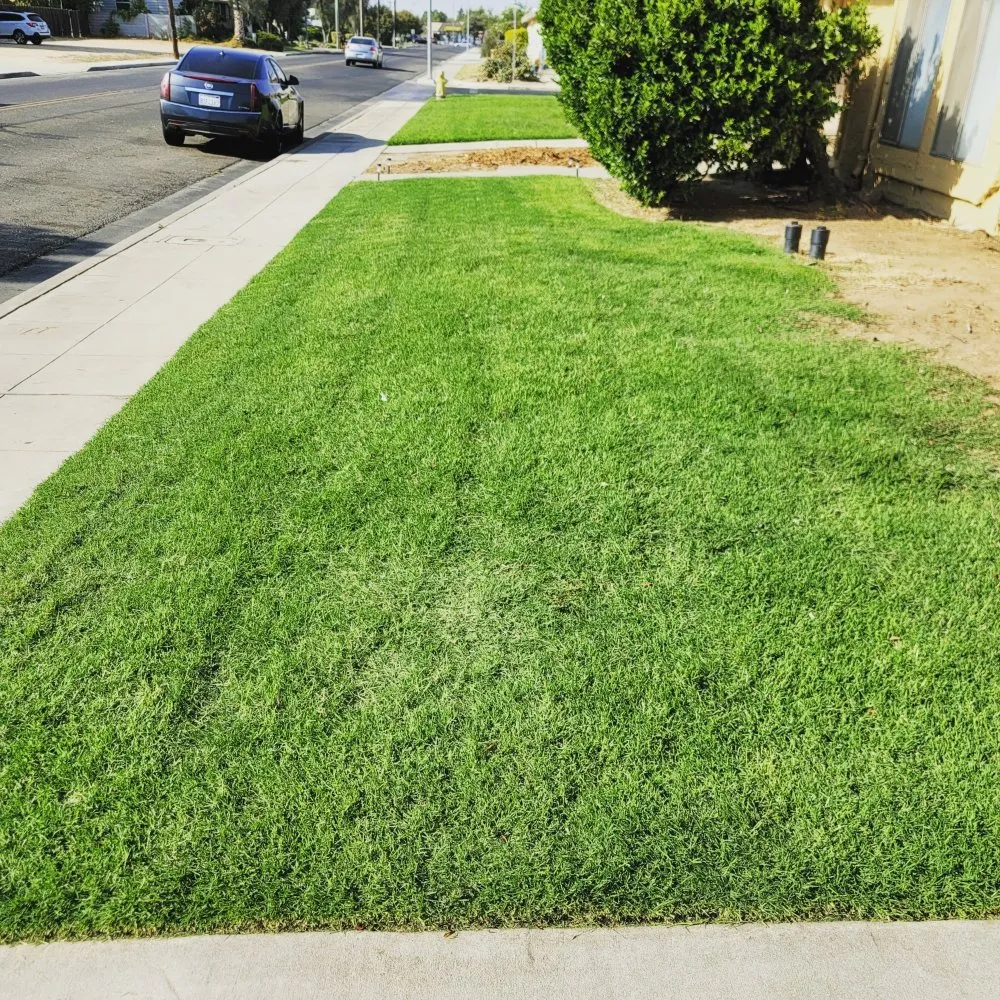 Custom landscape installation in Fresno, CA - Lazcano Property Maintenance