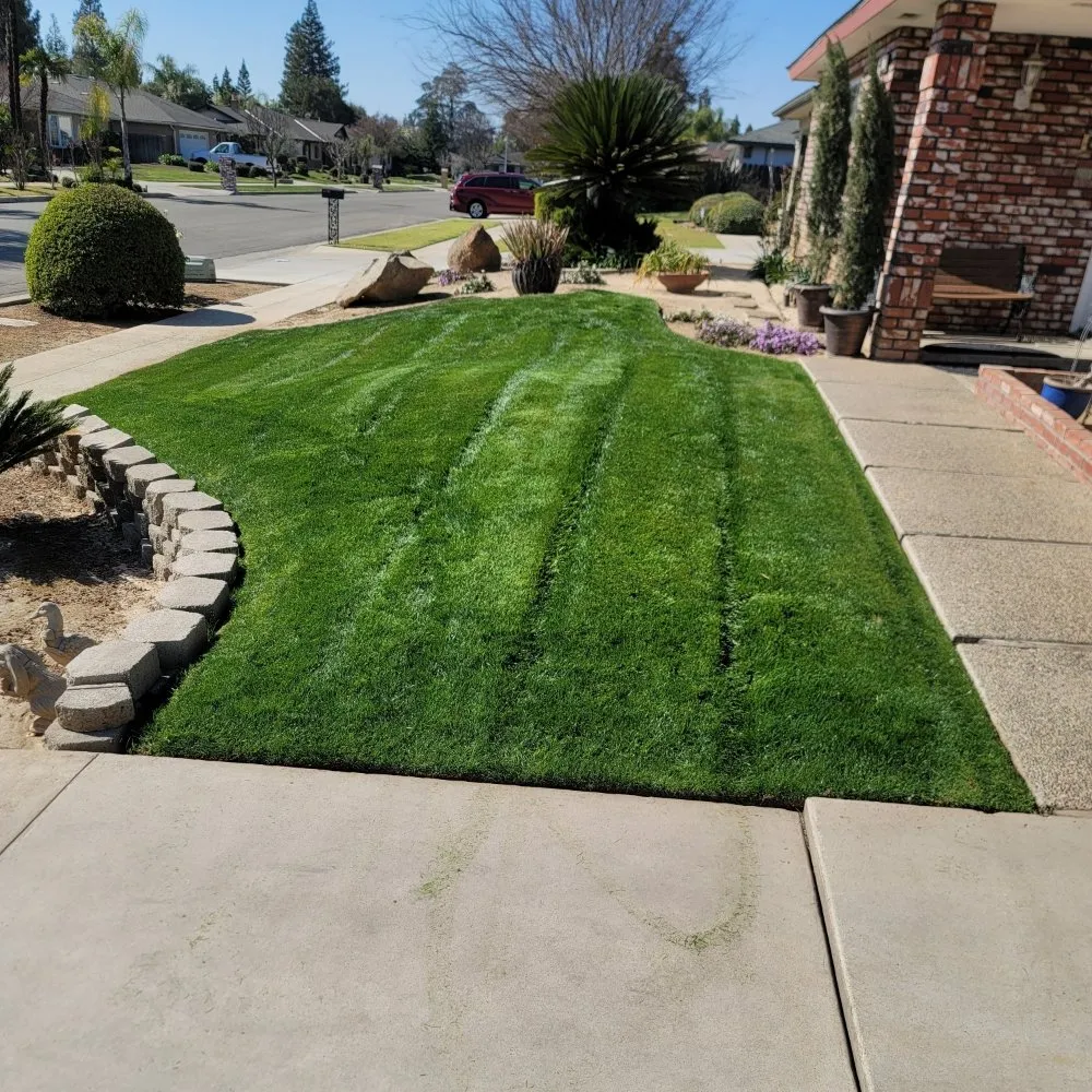 Top-rated residential landscaping in Fresno, CA by Lazcano Property Maintenance