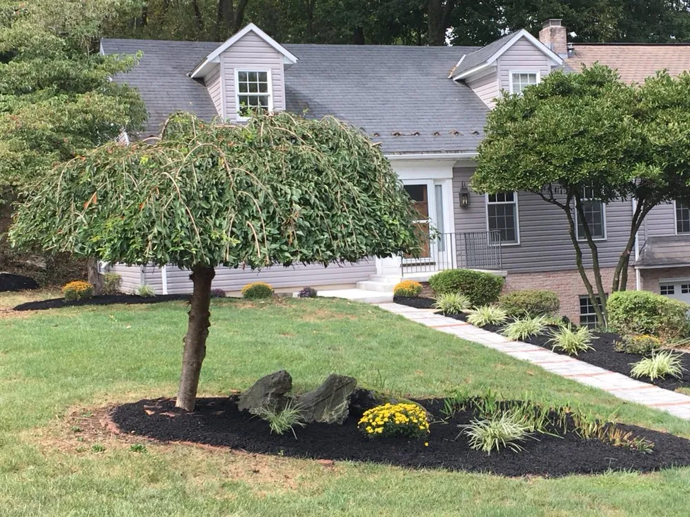 Expert yard cleanup service in Lancaster, PA by Lazer Cut Lawn Care