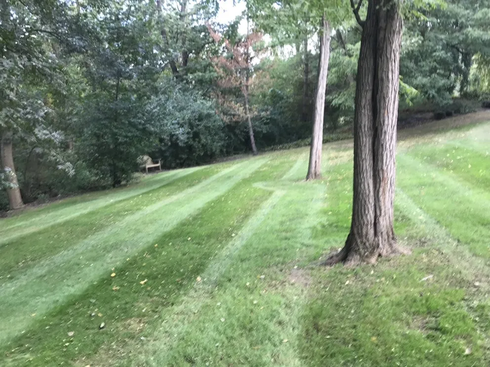 Expert lawn mowing service in Lancaster, PA - Lazer Cut Lawn Care