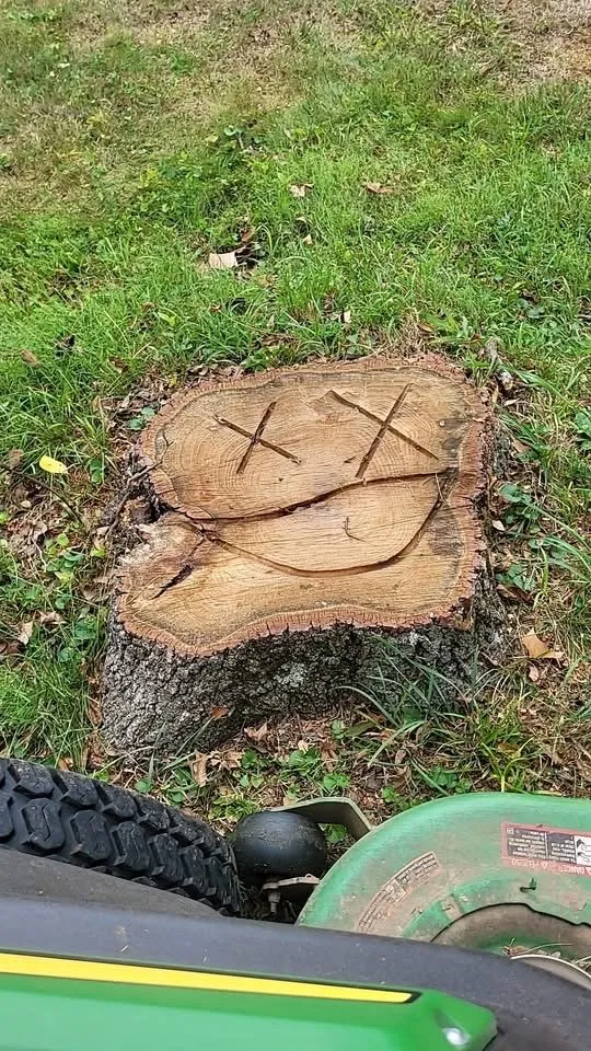 Professional landscape design for outdoor upgrades across Springfield, MO - Lazer Cut Lawns