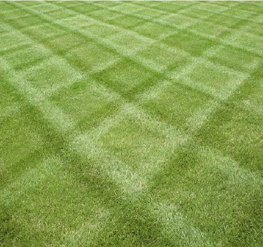 Professional yard maintenance in Springfield, MO by Lazer Cut Lawns