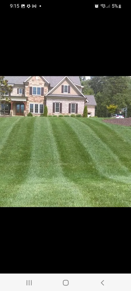 Trusted landscaping services for beautiful yards across Youngsville, NC - Lazer Edge landscaping