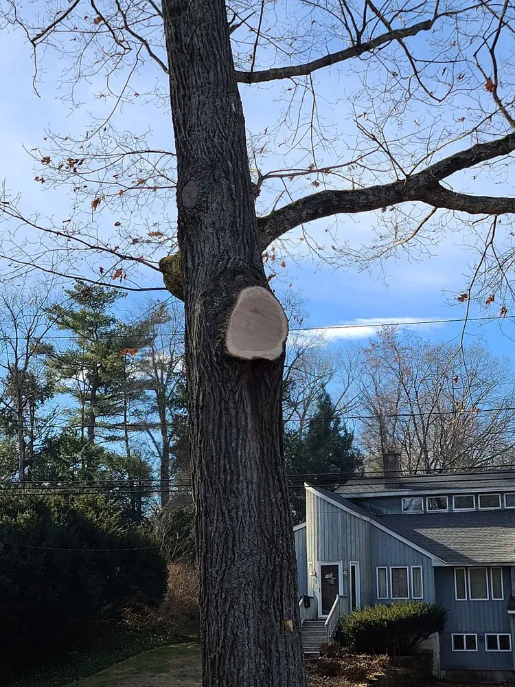 Expert yard cleanup service with custom design across Newington, CT - Lazer Scapes