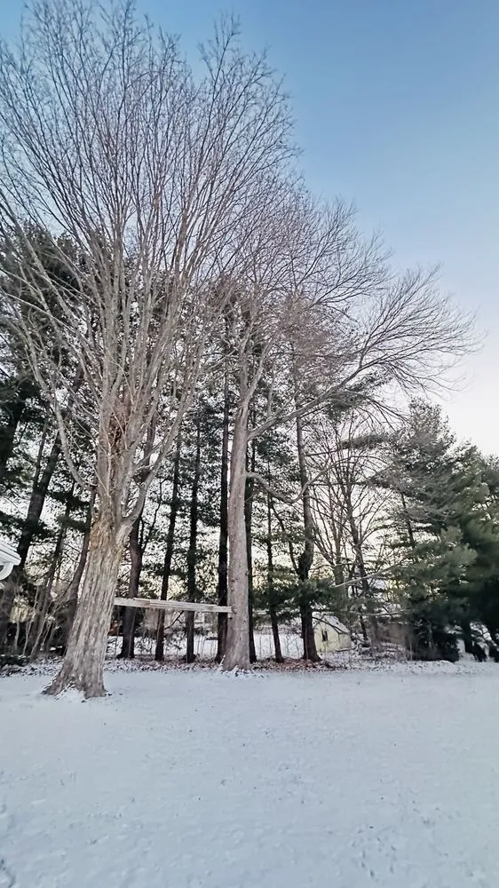 Affordable landscape installation near you across Newington, CT - Lazer Scapes