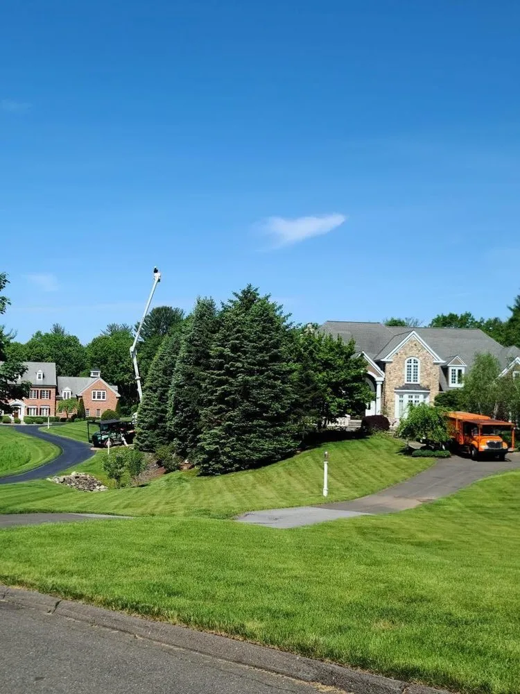 Affordable landscape installation in Newington, CT by Lazer Scapes