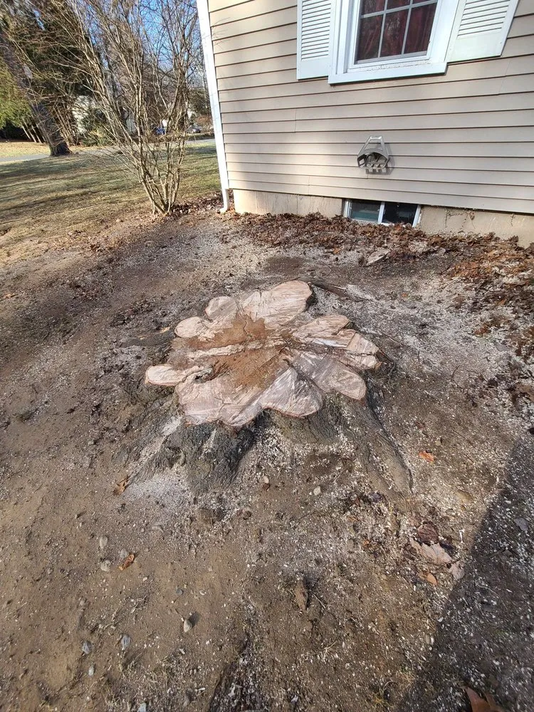 Local residential landscaping in Newington, CT - Lazer Scapes