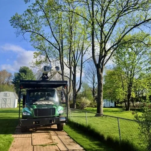 Expert yard maintenance experts serving Newington, CT - Lazer Scapes