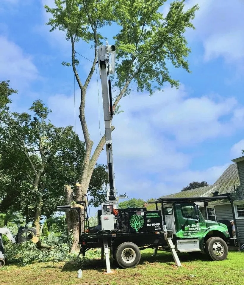 Expert garden landscaping in Newington, CT by Lazer Scapes