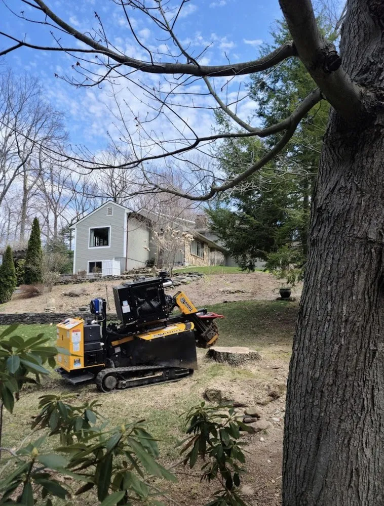 Top-rated yard cleanup service in Newington, CT by Lazer Scapes