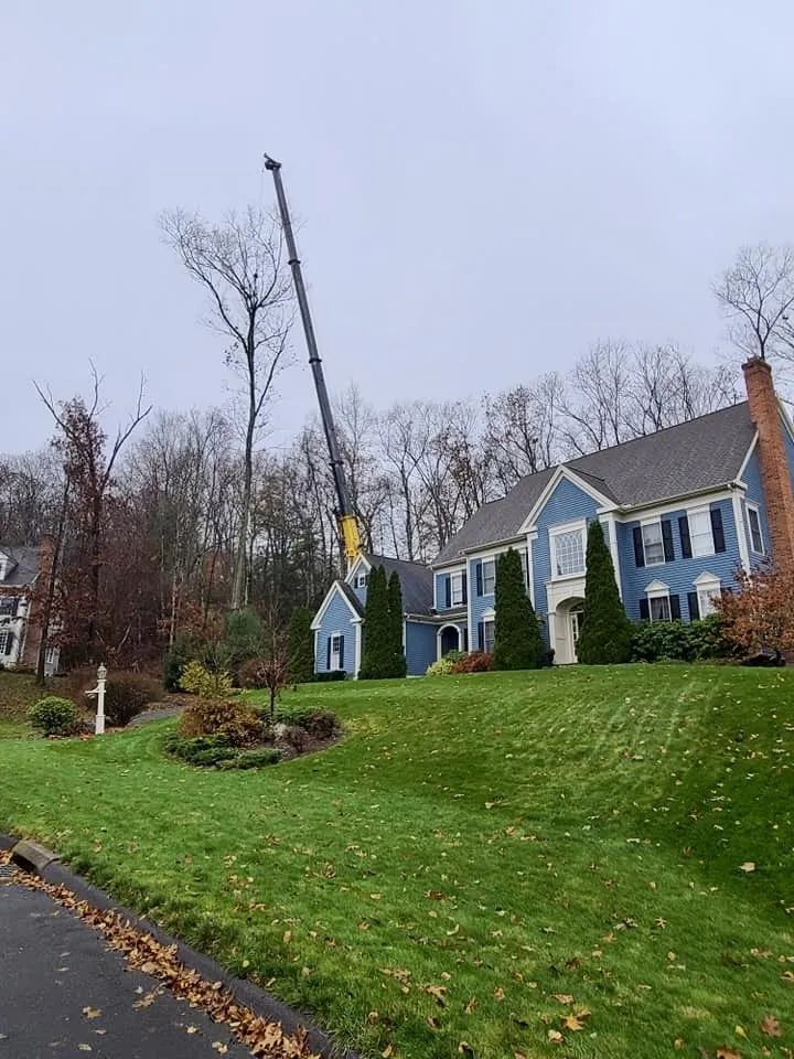 Trusted landscape installation near you across Newington, CT - Lazer Scapes