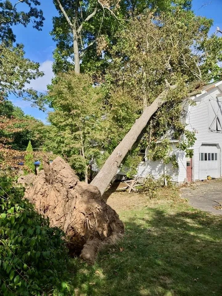 Top-rated landscaping services for homes in Newington, CT by Lazer Scapes