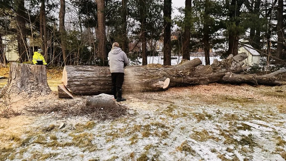 Professional yard cleanup service with custom design across Newington, CT - Lazer Scapes