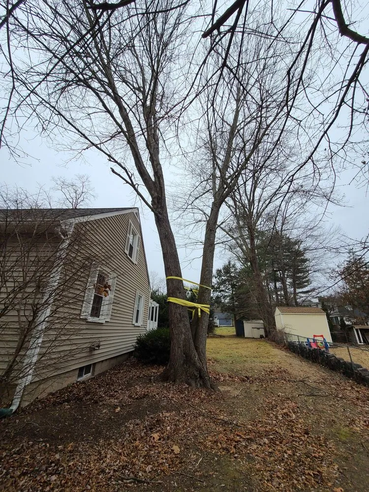 Professional garden landscaping in Newington, CT by Lazer Scapes