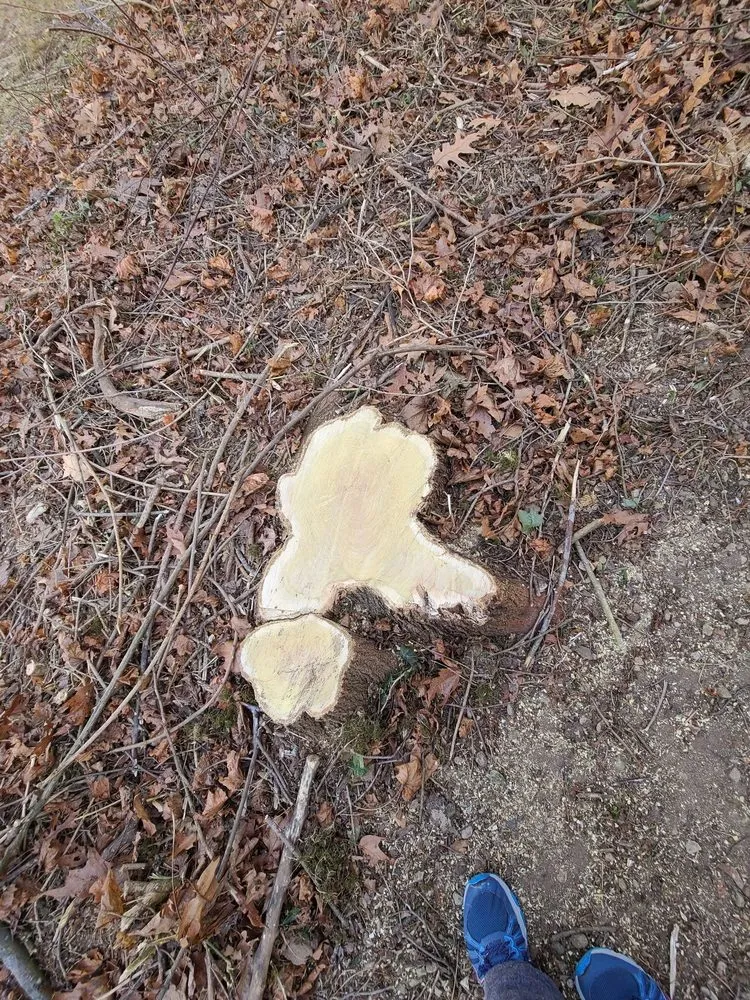 Top-rated residential landscaping in Newington, CT by Lazer Scapes